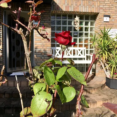 Dokomi Düsseldorf Köln 5 Pers Mit Terrasse Big Tv Apartamento *