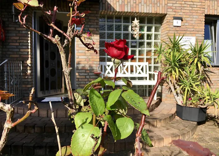 Dokomi Düsseldorf Köln 5 Pers Mit Terrasse Big Tv Apartamento *