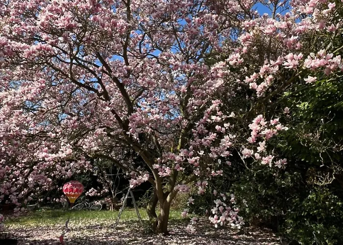 Apartamento Dokomi Düsseldorf Köln 5 Pers Mit Terrasse Big Tv *
